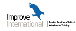 improve international header logo